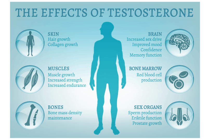 Testosterone Replacement Therapy Pensacola Physical Medicine
